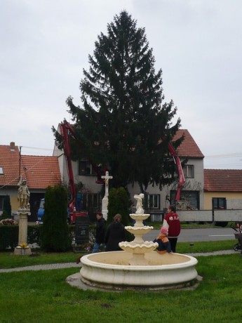 P1070988