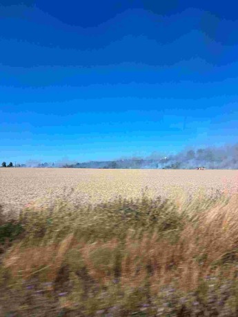 IMG-20260708-WA0003