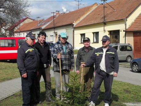 Sázení stromů v obci (5)