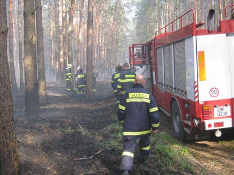 Požár u Bzence  (19)