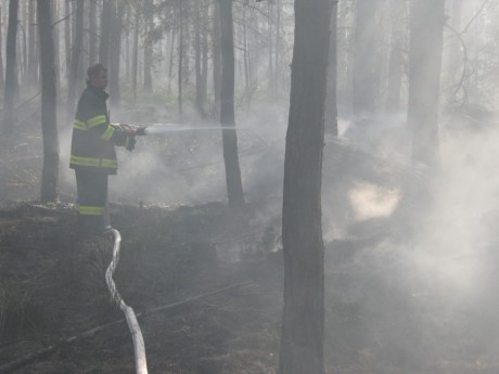 Požár u Bzence  (25)