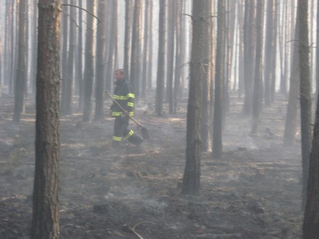 Požár u Bzence  (36)