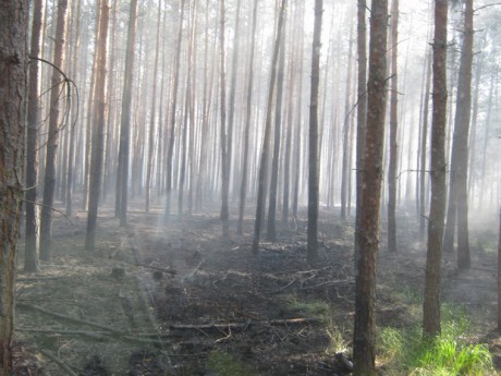 Požár u Bzence  (3)