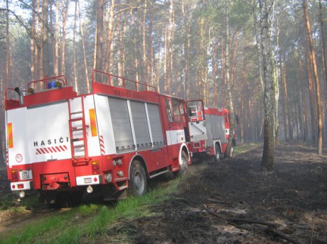 Požár u Bzence  (12)