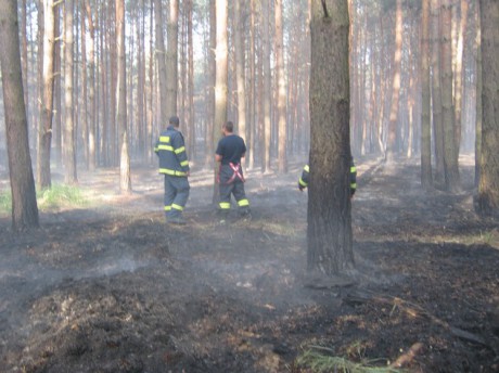 Požár u Bzence  (13)