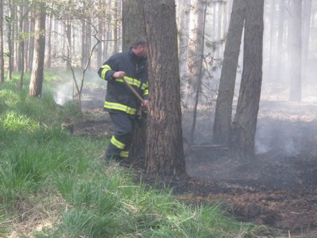 Požár u Bzence  (24)