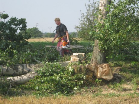 Kácení stromů 28.7.2012 (11)