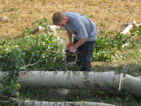 Kácení stromů 28.7.2012 (22)