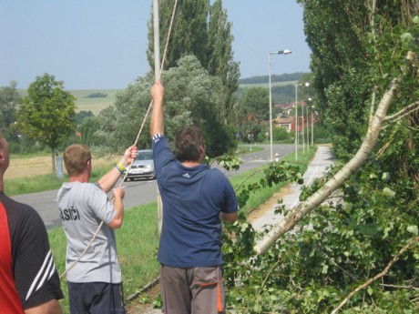 Kácení stromů 28.7.2012 (36)