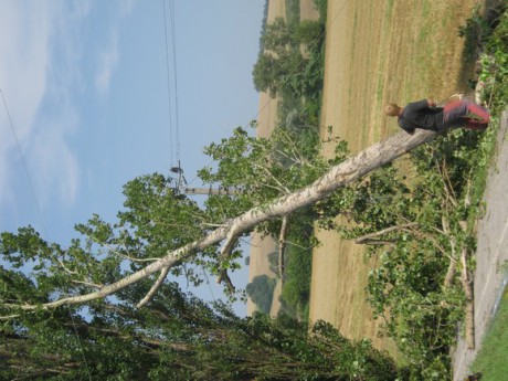 Kácení stromů 28.7.2012 (46)