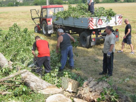 Kácení stromů 28.7.2012 (56)