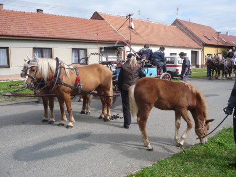 Prapory Hodějice 22.9.2012 (117)