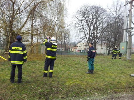 Odstranění stromu Hostěrádky-Rešov (1)