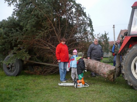 Přeprava vánočního stromu 23.112013 (20)