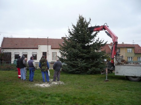 Přeprava vánočního stromu 23.112013 (32)