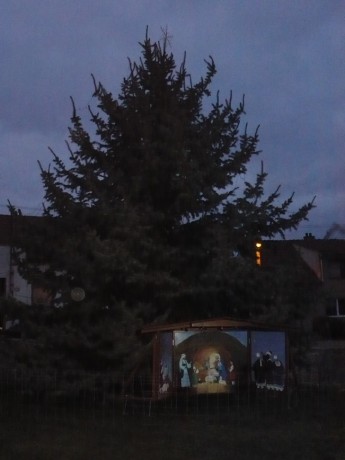 Rozsvícení vánočního stromu (26)