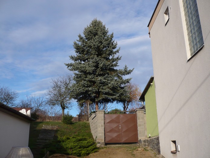 P1090084