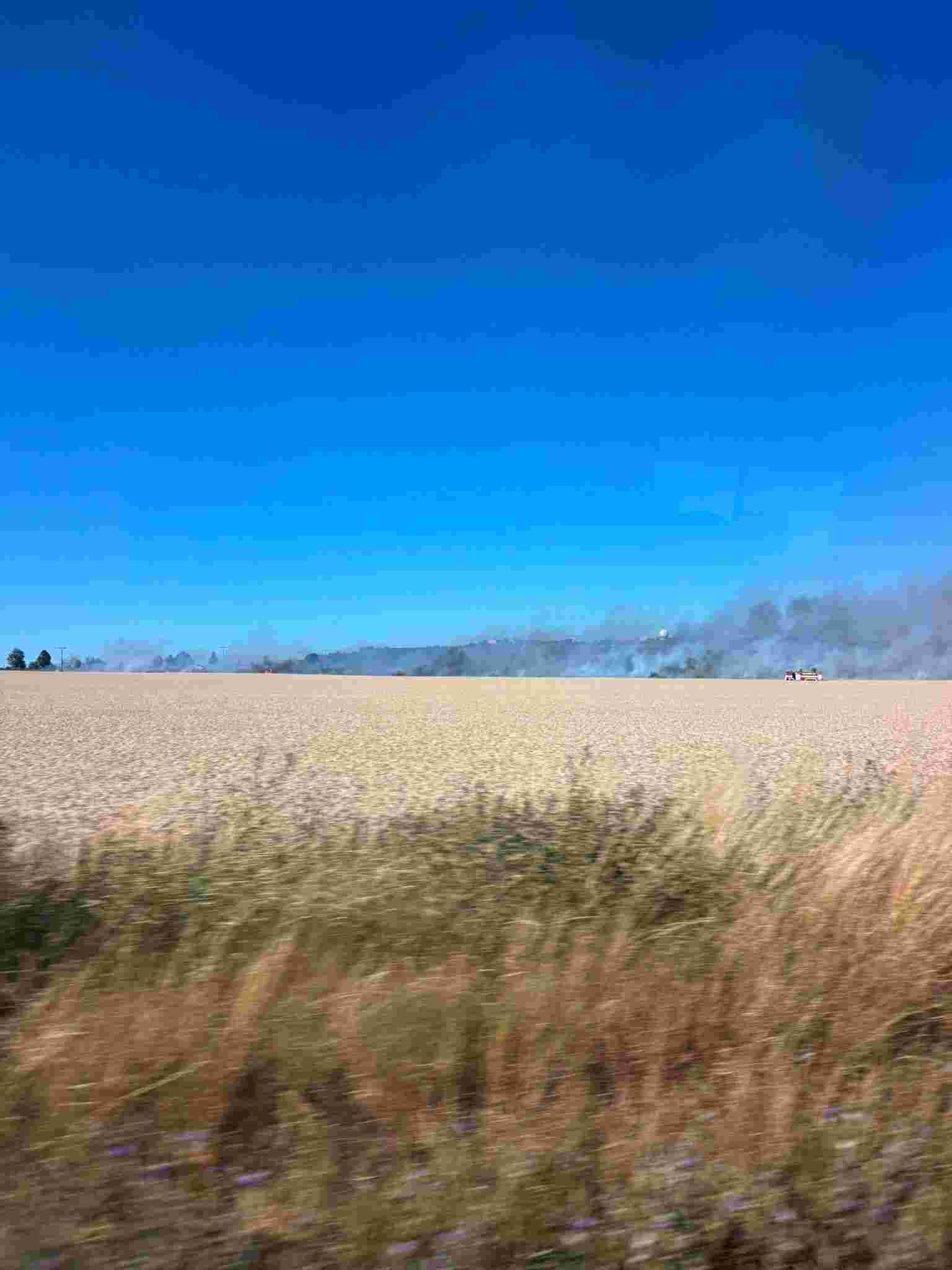 IMG-20260708-WA0003