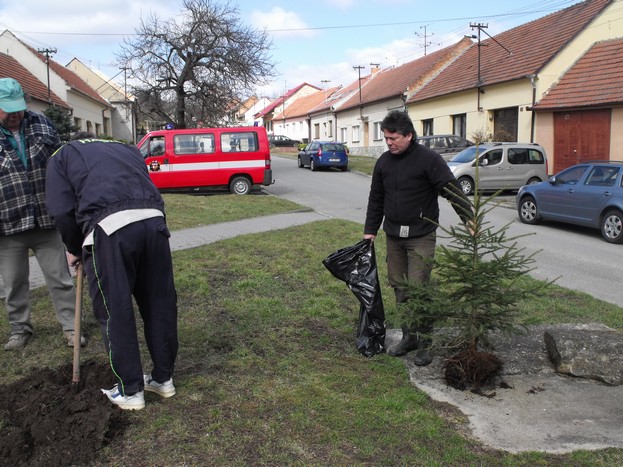 Sázení stromů v obci (1)