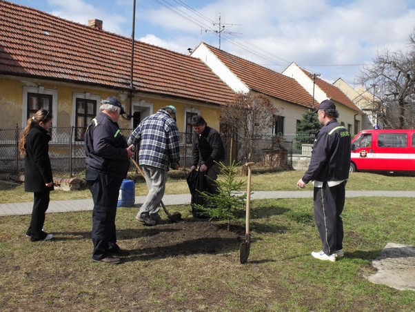 Sázení stromů v obci (2)