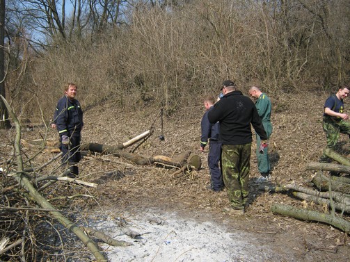 Kácení stromů 24.3.2012 (22)