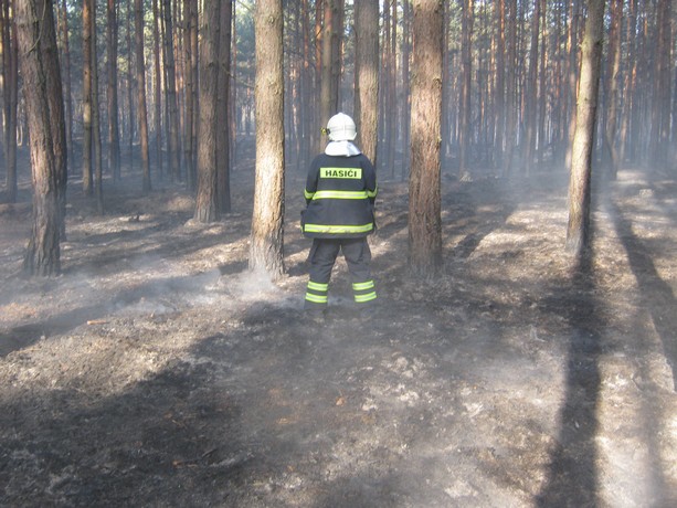 Požár u Bzence  (16)