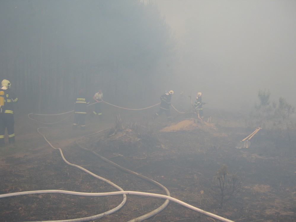 Požár u Bzence  (60)