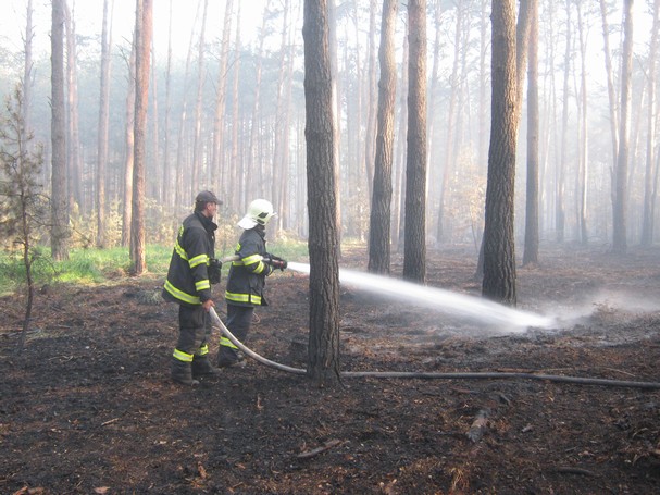 Požár u Bzence  (109)