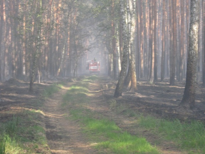 Požár u Bzence  (35)