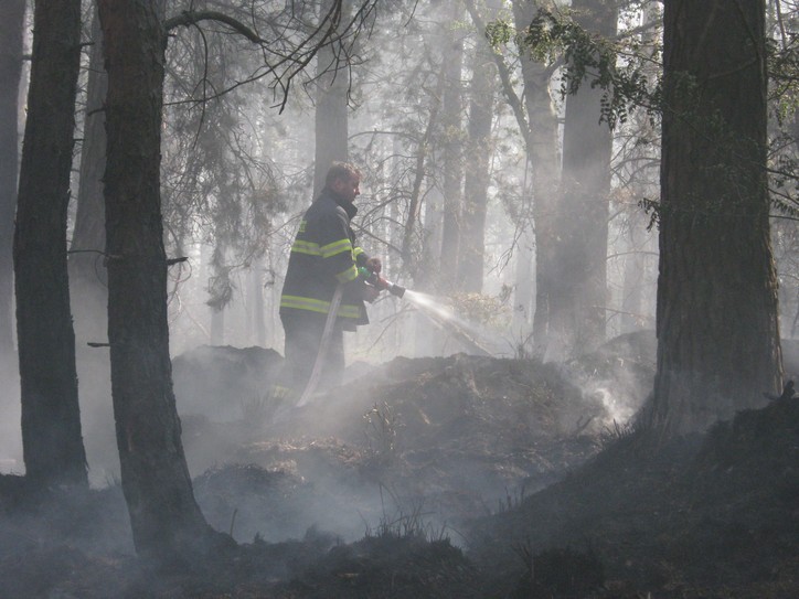 Požár u Bzence  (39)