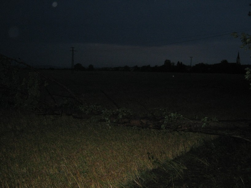 Odstranění stromů HR 6.7.12 (9)