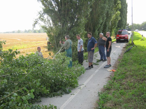 Kácení stromů 28.7.2012 (13)