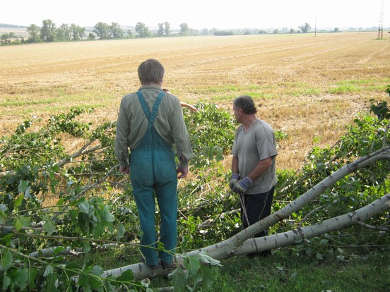 Kácení stromů 28.7.2012 (14)