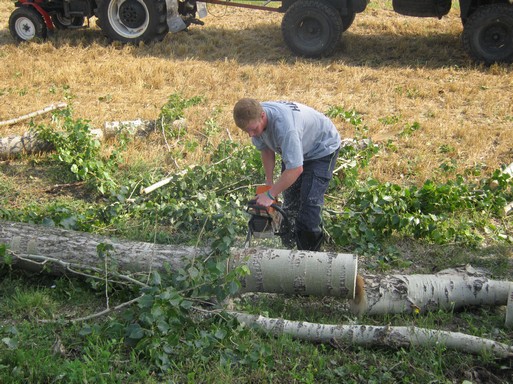 Kácení stromů 28.7.2012 (24)