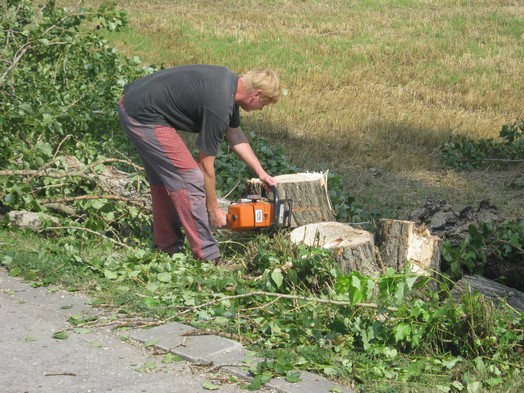 Kácení stromů 28.7.2012 (47)