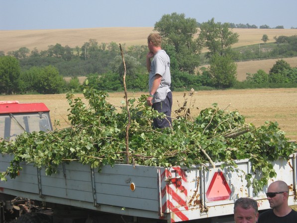 Kácení stromů 28.7.2012 (50)