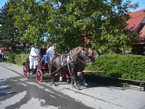 Prapory Hodějice 22.9.2012 (143)