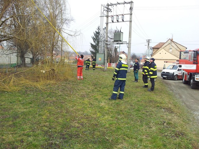 Odstranění stromu Hostěrádky-Rešov (2)