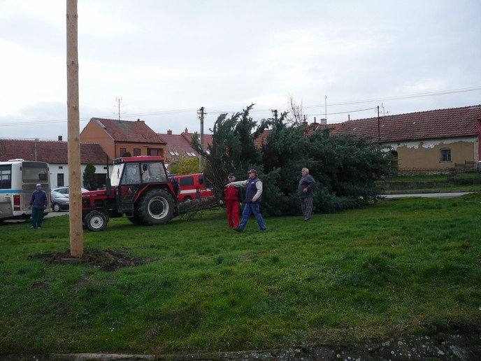 Přeprava vánočního stromu 23.112013 (10)