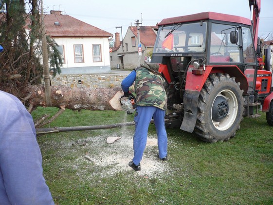 Přeprava vánočního stromu 23.112013 (22)